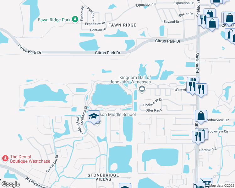 map of restaurants, bars, coffee shops, grocery stores, and more near 9534 Lake Chase Island Way in Tampa