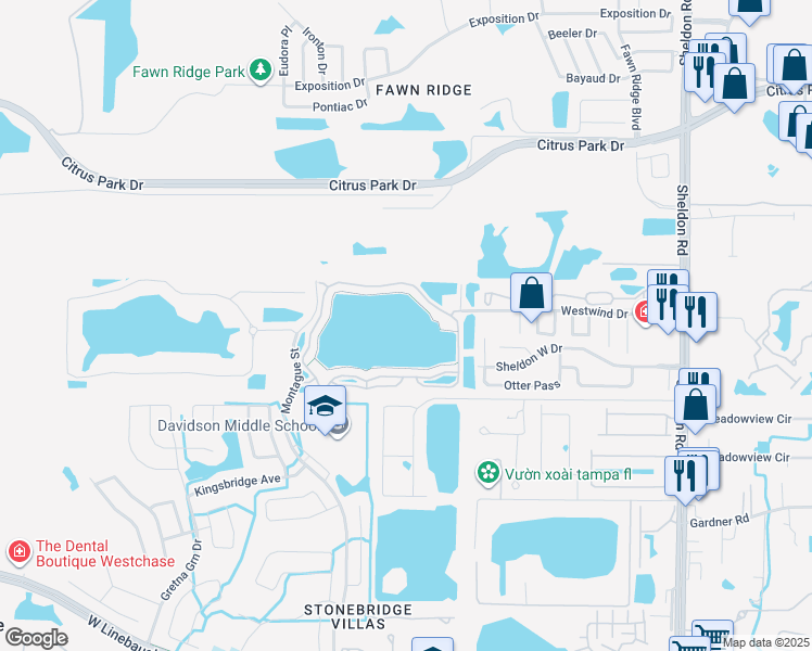 map of restaurants, bars, coffee shops, grocery stores, and more near 9534 Lake Chase Island Way in Tampa