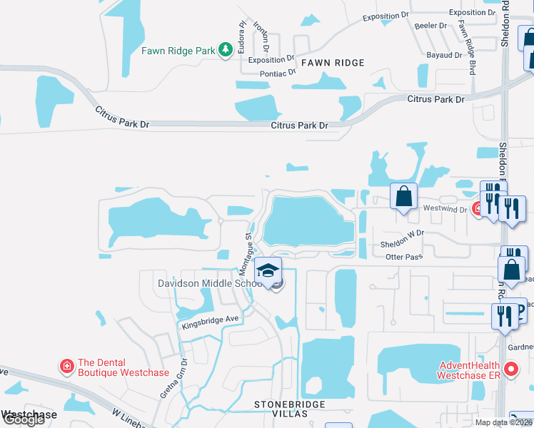 map of restaurants, bars, coffee shops, grocery stores, and more near 9348 Lake Chase Island Way in Tampa