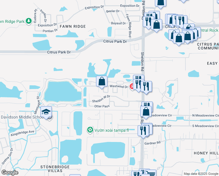 map of restaurants, bars, coffee shops, grocery stores, and more near 11901 Cypress Crest Circle in Tampa