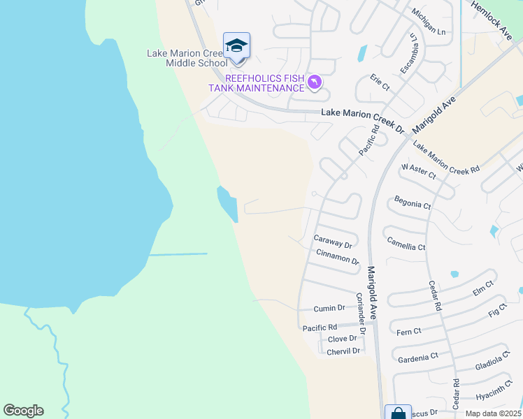 map of restaurants, bars, coffee shops, grocery stores, and more near in Haines City