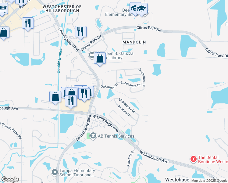 map of restaurants, bars, coffee shops, grocery stores, and more near 10751 Ayrshire Drive in Tampa