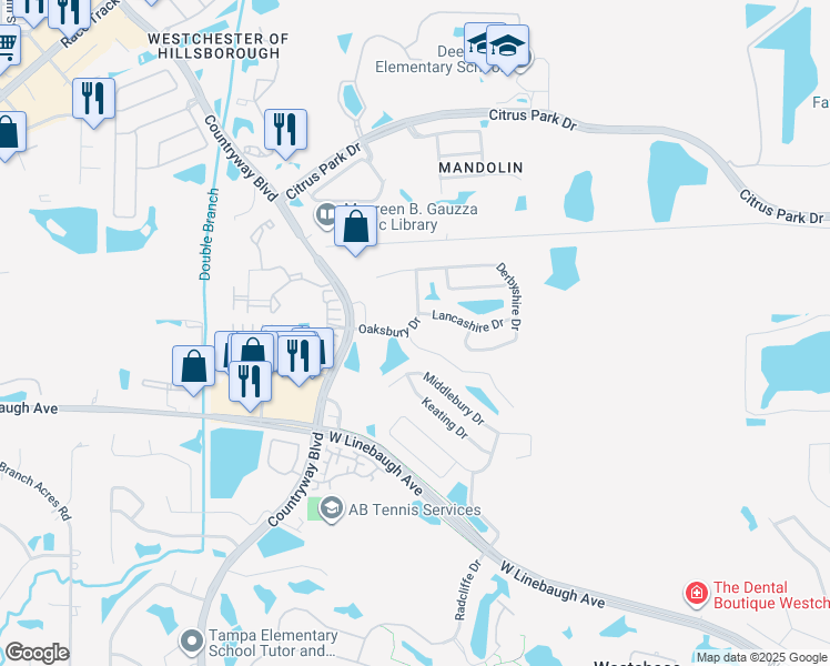 map of restaurants, bars, coffee shops, grocery stores, and more near 10751 Ayrshire Dr in Tampa
