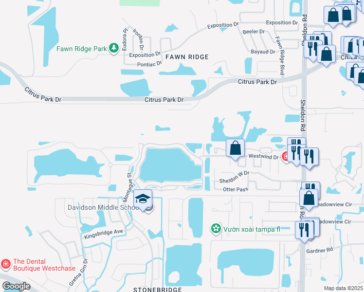 map of restaurants, bars, coffee shops, grocery stores, and more near 9078 Lake Chase Island Way in Tampa