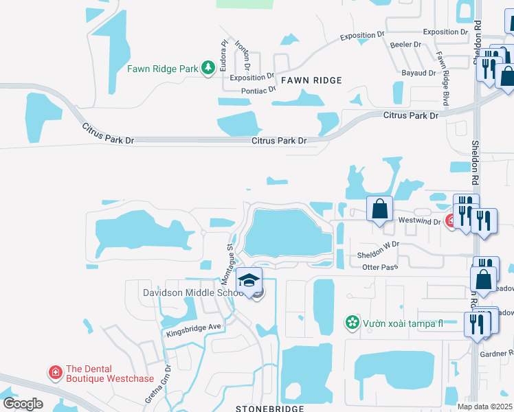 map of restaurants, bars, coffee shops, grocery stores, and more near 9228 Lake Chase Island Way in Tampa