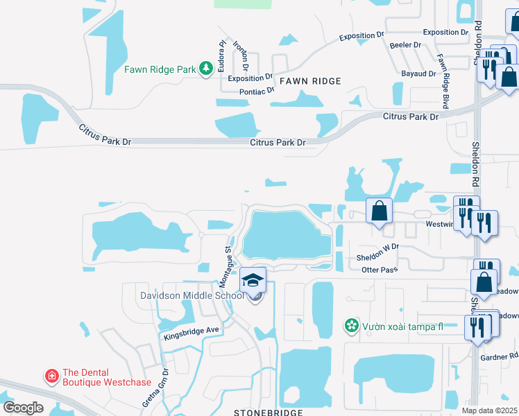 map of restaurants, bars, coffee shops, grocery stores, and more near 9228 Lake Chase Island Way in Tampa