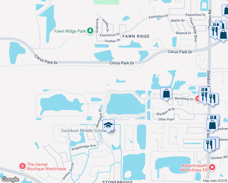 map of restaurants, bars, coffee shops, grocery stores, and more near 9228 Lake Chase Island Way in Tampa