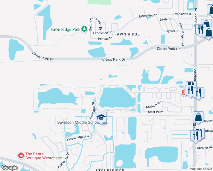 map of restaurants, bars, coffee shops, grocery stores, and more near 9228 Lake Chase Island Way in Tampa
