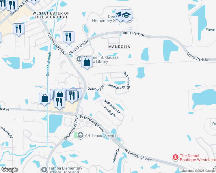 map of restaurants, bars, coffee shops, grocery stores, and more near 11832 Lancashire Drive in Tampa