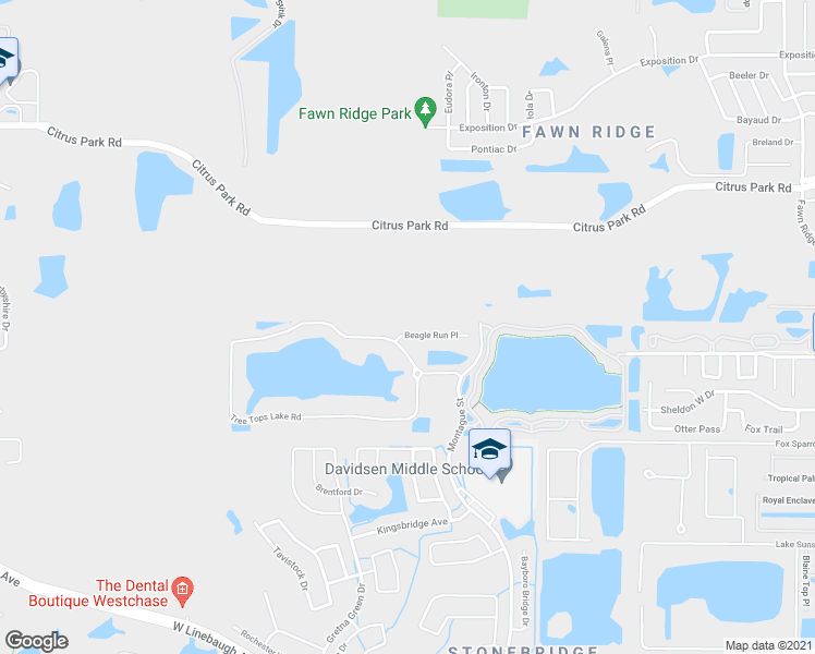 map of restaurants, bars, coffee shops, grocery stores, and more near 10720 Beagle Run Pl in Tampa