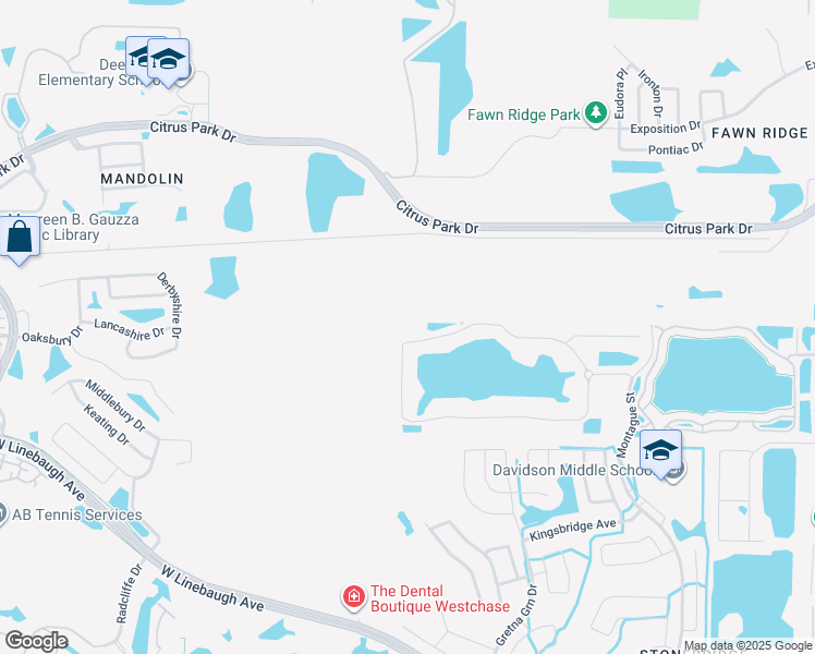 map of restaurants, bars, coffee shops, grocery stores, and more near 9643 Tree Tops Lake Road in Tampa