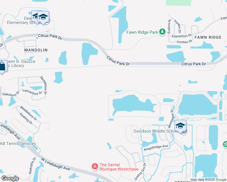 map of restaurants, bars, coffee shops, grocery stores, and more near 9641 Tree Tops Lake Road in Tampa