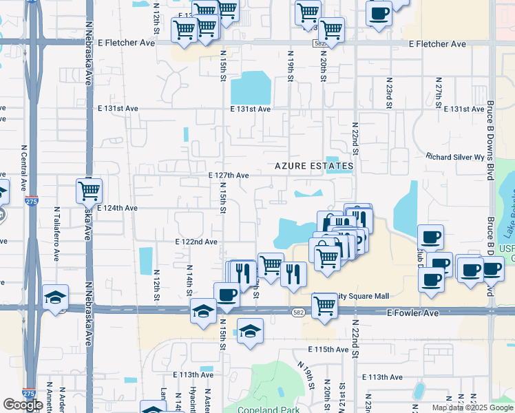 map of restaurants, bars, coffee shops, grocery stores, and more near 12520 Tinsley Terrace Drive in Tampa
