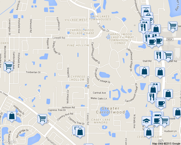 map of restaurants, bars, coffee shops, grocery stores, and more near 4206 Wayside Willow Court in Tampa