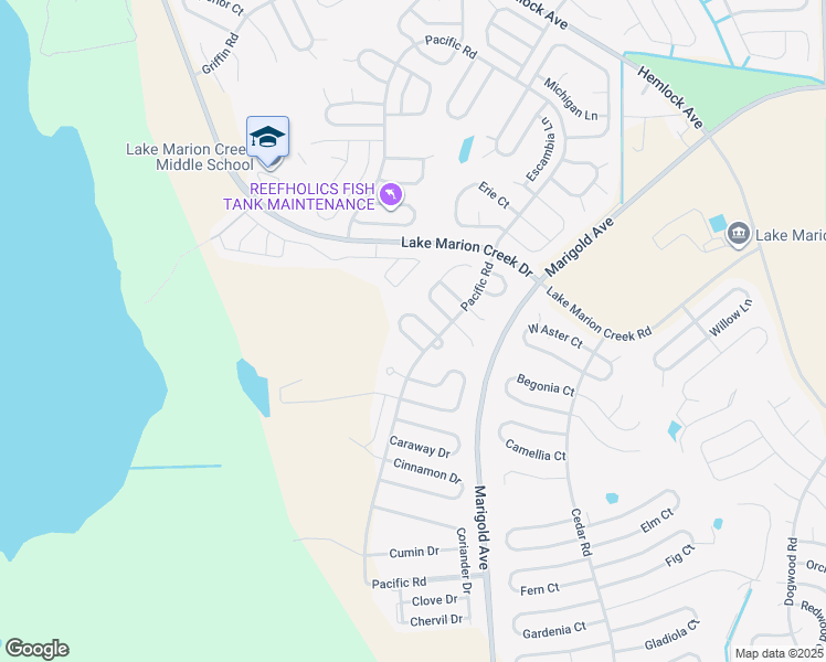 map of restaurants, bars, coffee shops, grocery stores, and more near 524 Basil Court in Kissimmee