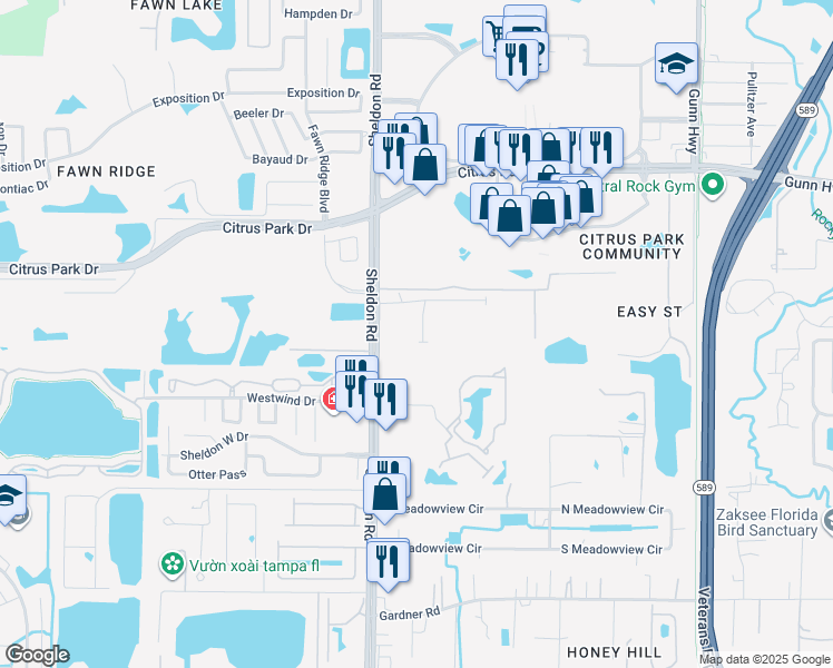 map of restaurants, bars, coffee shops, grocery stores, and more near 12304 Terracina Chase Court in Tampa