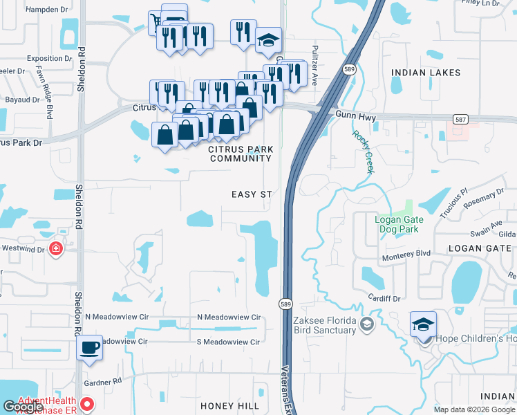 map of restaurants, bars, coffee shops, grocery stores, and more near 12802 Easy Street in Tampa