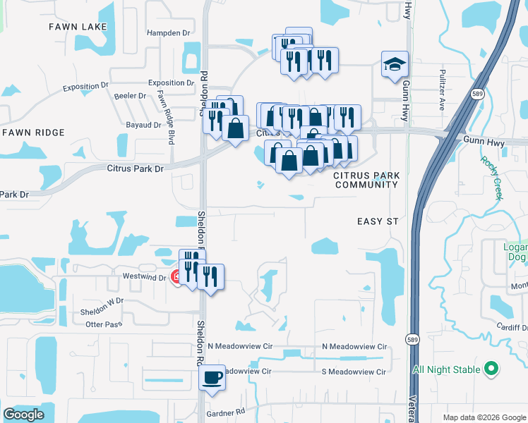 map of restaurants, bars, coffee shops, grocery stores, and more near 8727 Terracina Lake Drive in Tampa