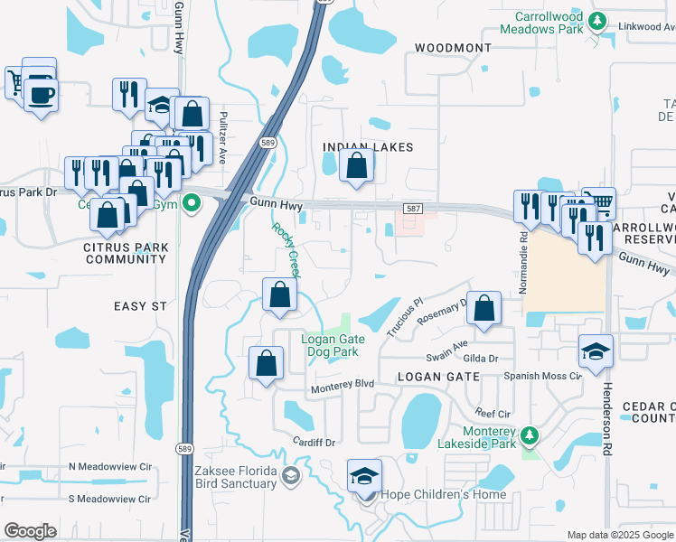 map of restaurants, bars, coffee shops, grocery stores, and more near 12713 Arlington Creek Lane in Tampa