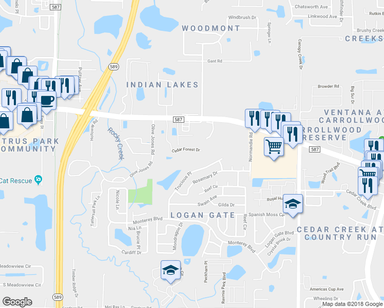 map of restaurants, bars, coffee shops, grocery stores, and more near 12835 Cedar Forest Drive in Tampa