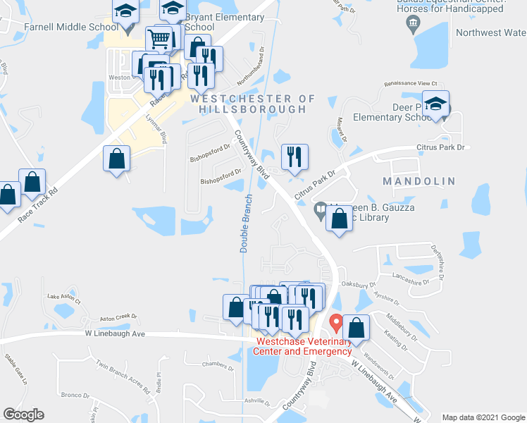 map of restaurants, bars, coffee shops, grocery stores, and more near 11330 Countryway Boulevard in Tampa