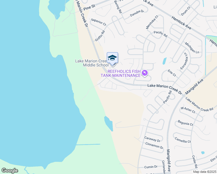 map of restaurants, bars, coffee shops, grocery stores, and more near 161 Ocean Bluff Drive in Kissimmee