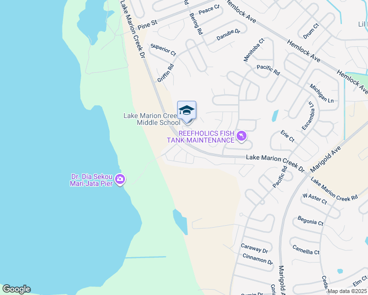 map of restaurants, bars, coffee shops, grocery stores, and more near 267 Grand Rapids Drive in Kissimmee