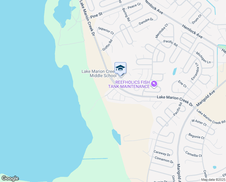 map of restaurants, bars, coffee shops, grocery stores, and more near 267 Grand Rapids Drive in Kissimmee