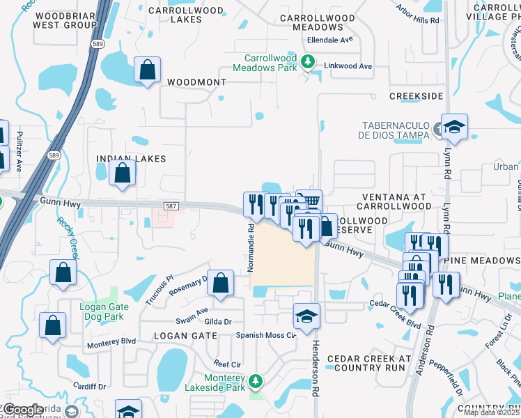 map of restaurants, bars, coffee shops, grocery stores, and more near 6233 Gunn Highway in Tampa
