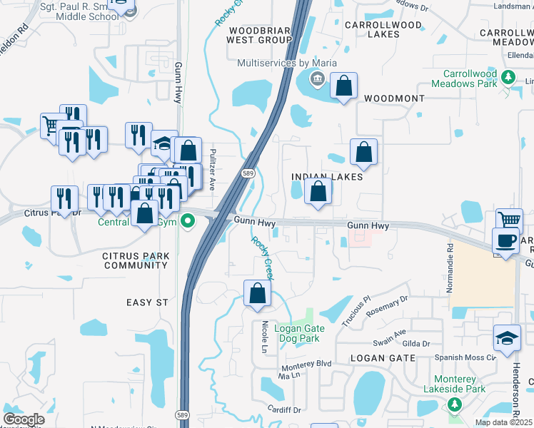 map of restaurants, bars, coffee shops, grocery stores, and more near 13306 Canopy Grove Drive in Tampa