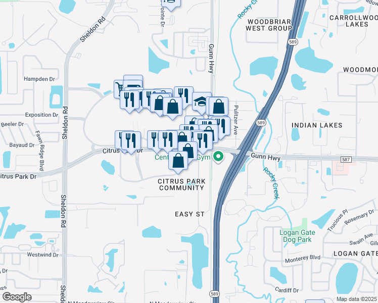 map of restaurants, bars, coffee shops, grocery stores, and more near 8102 Citrus Park Drive in Tampa