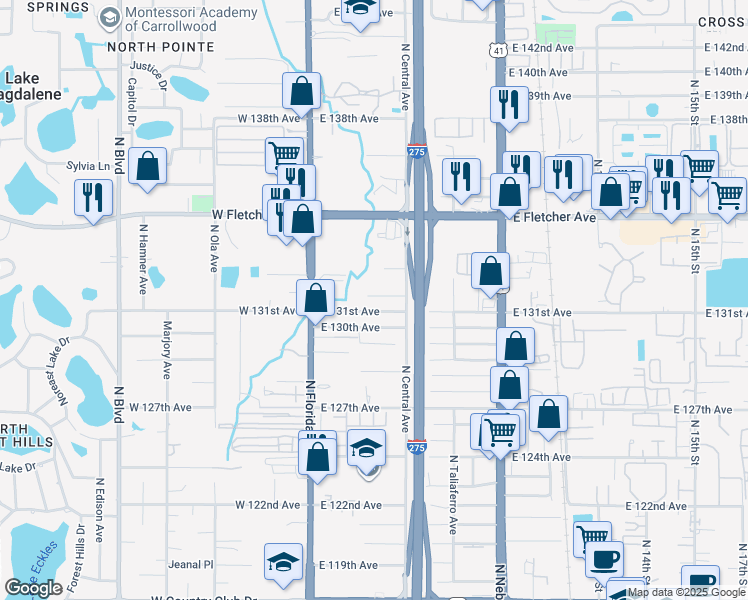 map of restaurants, bars, coffee shops, grocery stores, and more near 308 East 132nd Avenue in Tampa