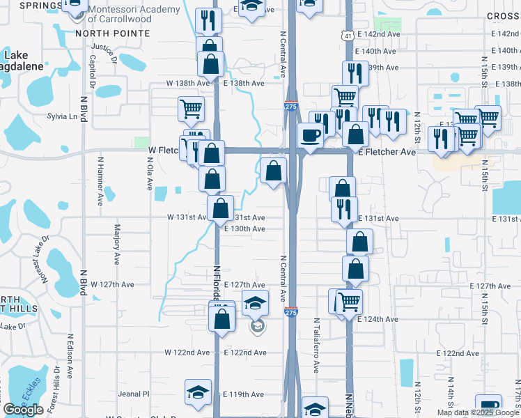 map of restaurants, bars, coffee shops, grocery stores, and more near 308 East 132nd Avenue in Tampa