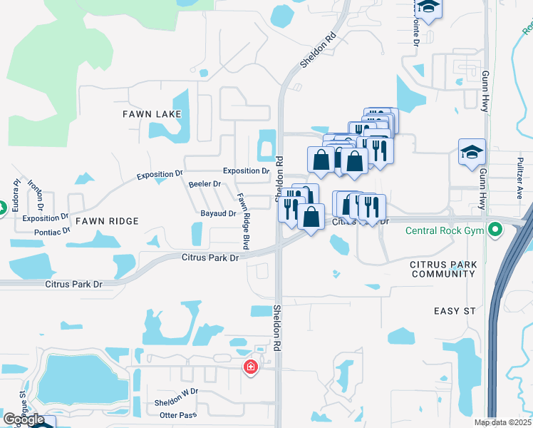 map of restaurants, bars, coffee shops, grocery stores, and more near 8820 Bayaud Drive in Tampa
