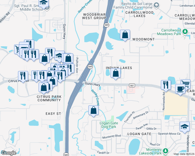 map of restaurants, bars, coffee shops, grocery stores, and more near 13318 Canopy Grove Drive in Tampa