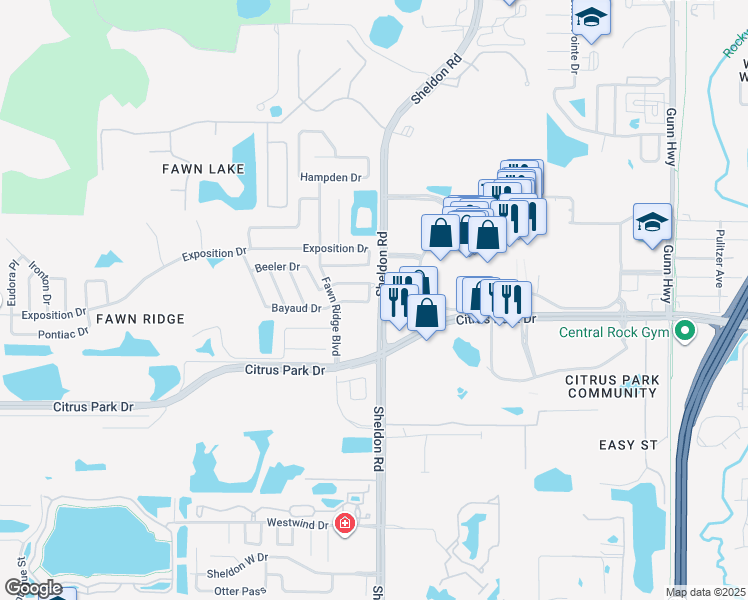 map of restaurants, bars, coffee shops, grocery stores, and more near 8806 Bayaud Drive in Tampa
