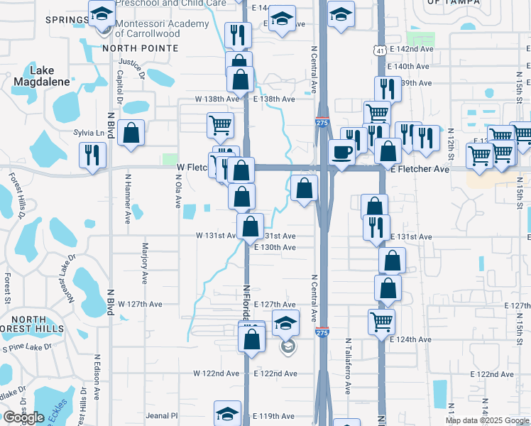 map of restaurants, bars, coffee shops, grocery stores, and more near 13119 North Florida Avenue in Tampa