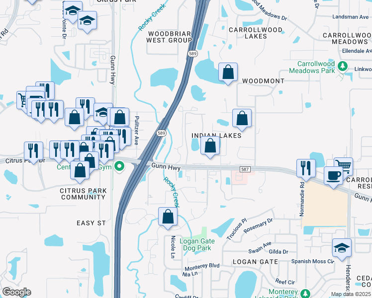 map of restaurants, bars, coffee shops, grocery stores, and more near 13306 Canopy Grove Drive in Tampa