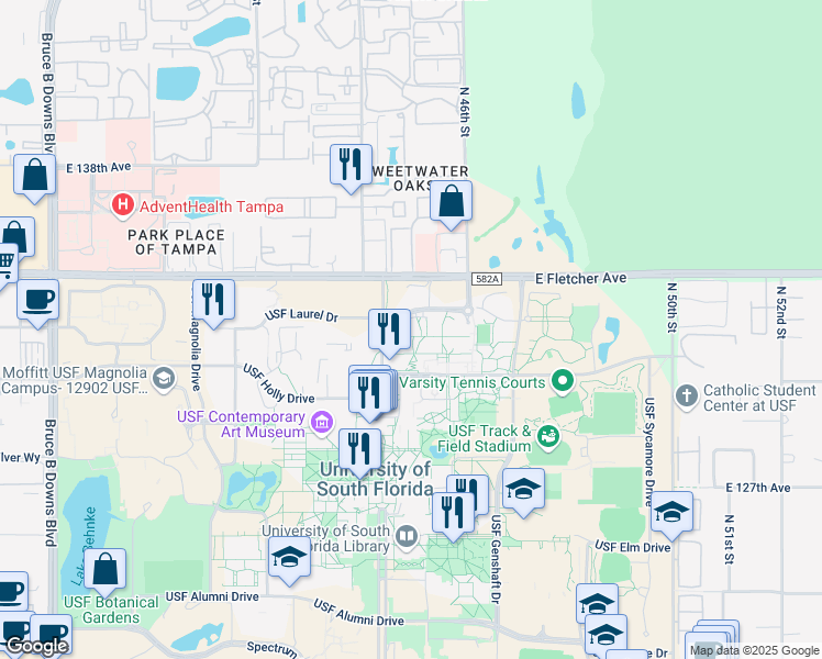 map of restaurants, bars, coffee shops, grocery stores, and more near 4207 USF Dogwood Drive in Tampa