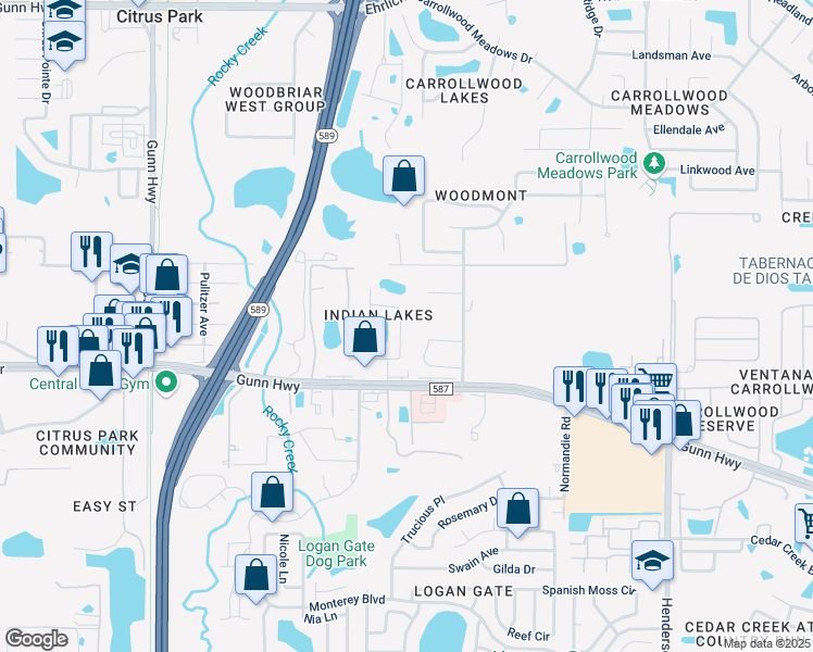 map of restaurants, bars, coffee shops, grocery stores, and more near 13524 Bellingham Drive in Tampa