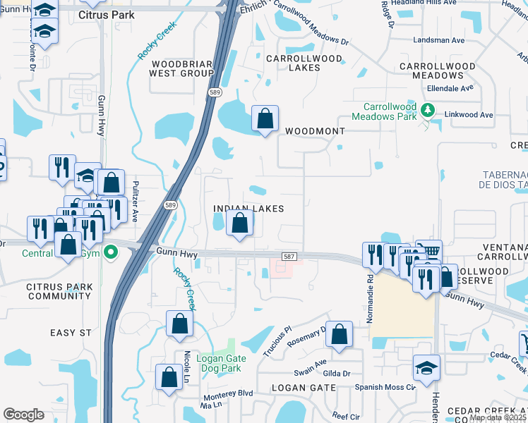 map of restaurants, bars, coffee shops, grocery stores, and more near 13518 Bellingham Drive in Tampa