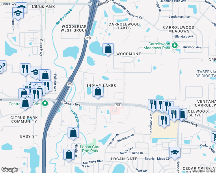 map of restaurants, bars, coffee shops, grocery stores, and more near 13518 Bellingham Drive in Tampa