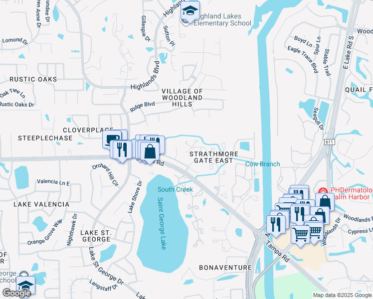 map of restaurants, bars, coffee shops, grocery stores, and more near 4046 Diamond Leaf Court in Palm Harbor