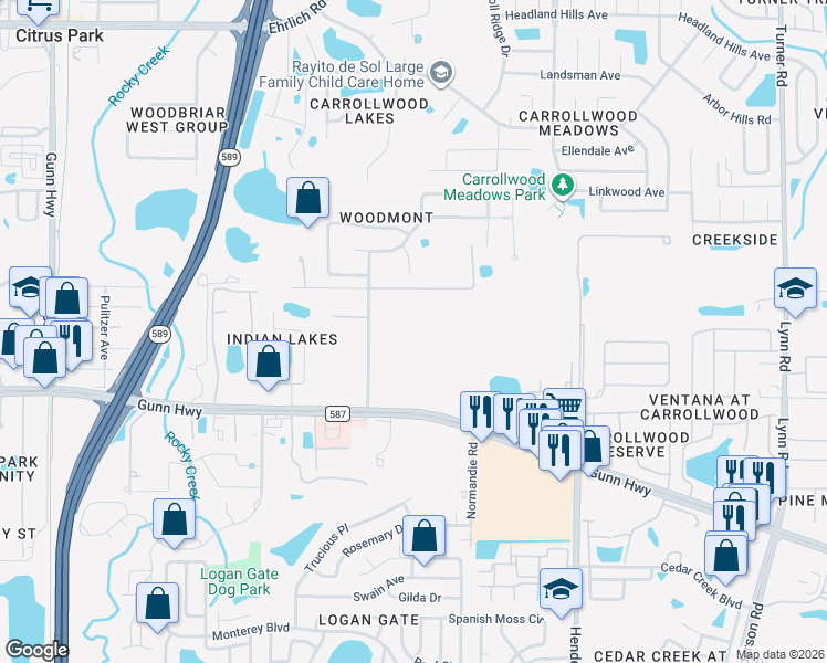 map of restaurants, bars, coffee shops, grocery stores, and more near 13305 Tiger Lilly Lane in Tampa