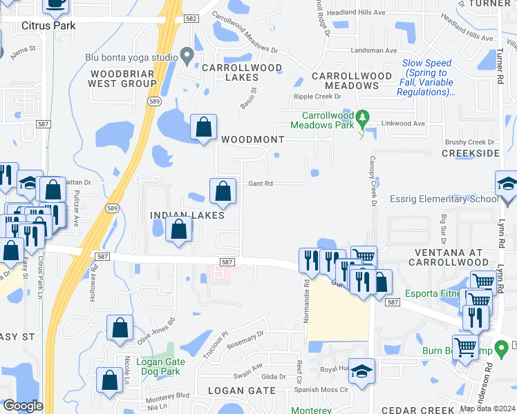map of restaurants, bars, coffee shops, grocery stores, and more near 13308 Tiger Lilly Lane in Tampa