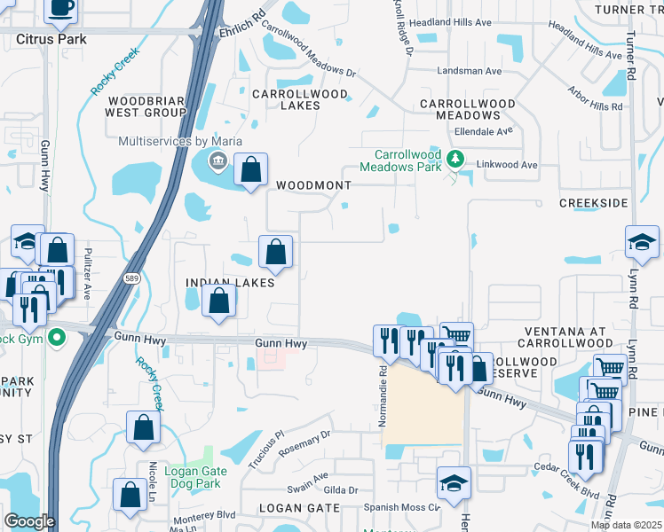 map of restaurants, bars, coffee shops, grocery stores, and more near 13311 Tiger Lilly Lane in Tampa