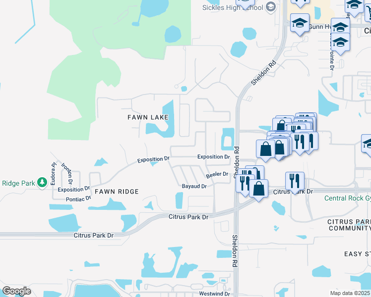 map of restaurants, bars, coffee shops, grocery stores, and more near 8934 Eastman Drive in Tampa