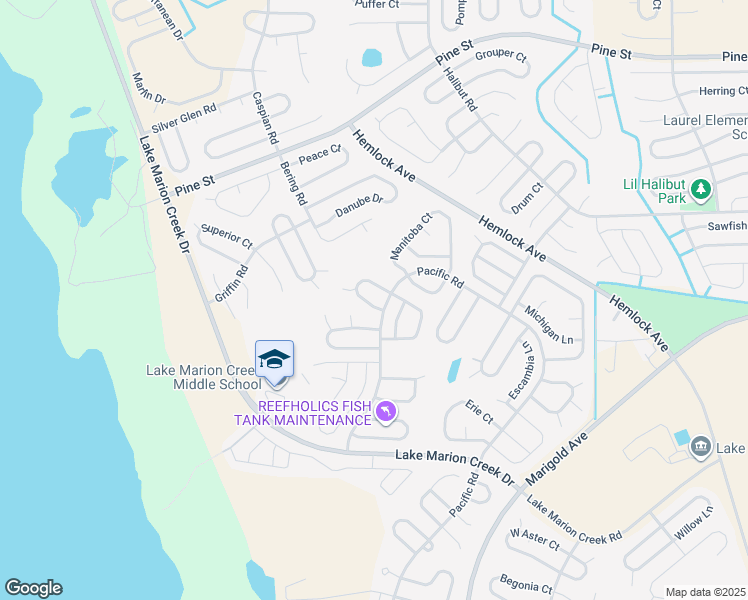 map of restaurants, bars, coffee shops, grocery stores, and more near 534 Lakeview Drive in Kissimmee
