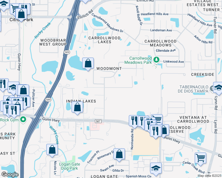 map of restaurants, bars, coffee shops, grocery stores, and more near 6405 Sea Lavender Lane in Tampa