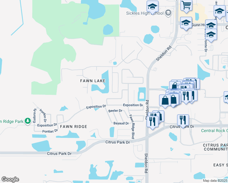 map of restaurants, bars, coffee shops, grocery stores, and more near 13443 White Elk Loop in Tampa